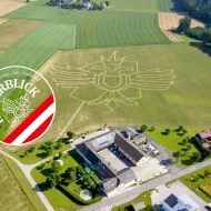 Kaiseradler im nördlichsten Maisfeld der Kulturhauptstadt-Region Salzkammergut 2024 in Vorchdorf